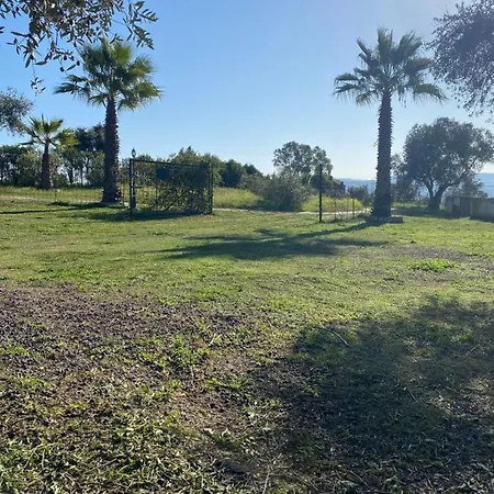 Naranjo * Jerez De Los Caballeros
