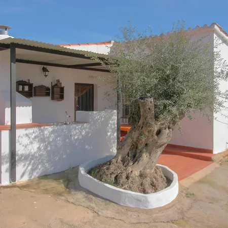 Naranjo