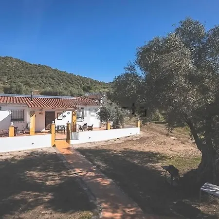 Naranjo