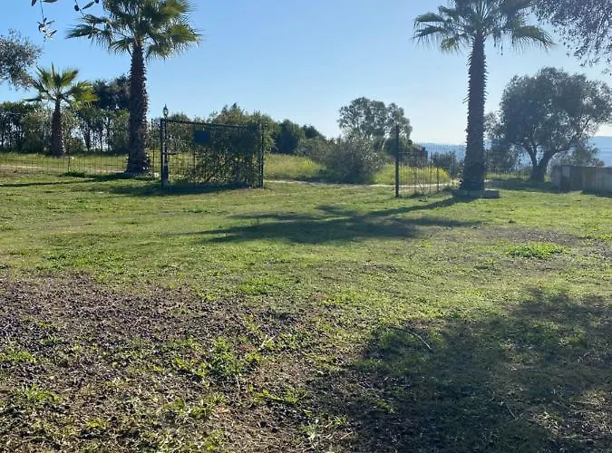 Naranjo * Jerez De Los Caballeros